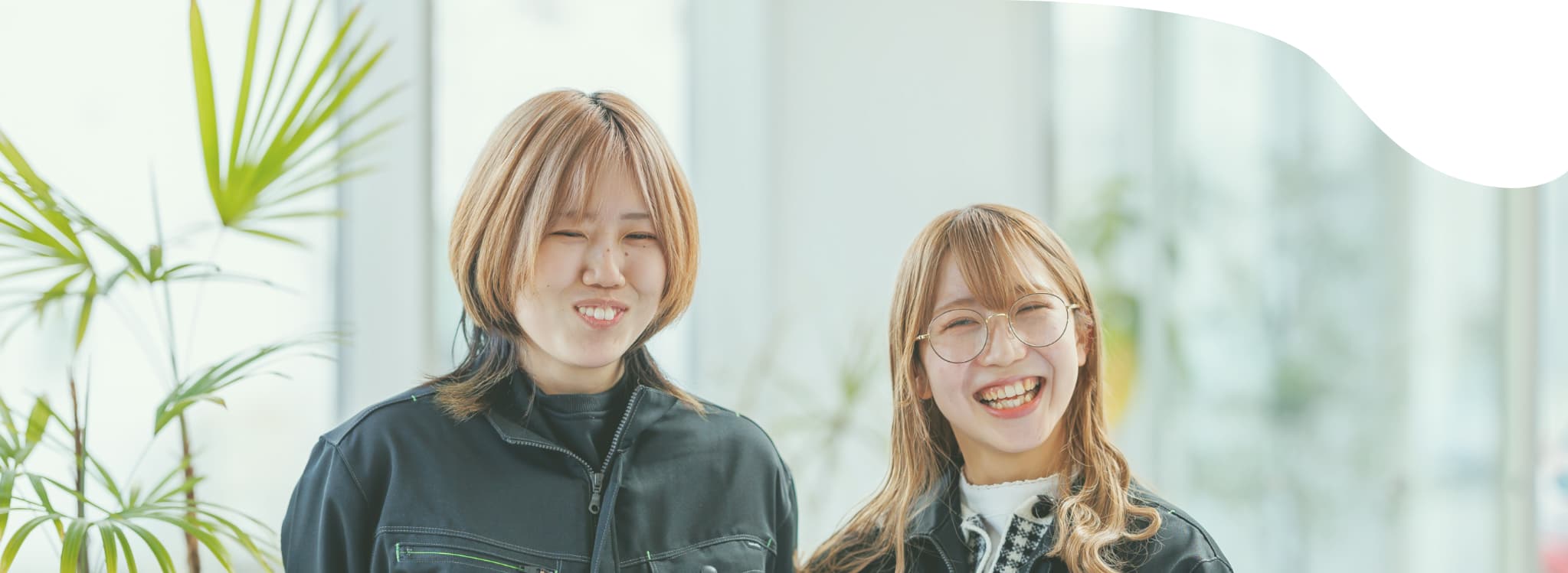 求人情報